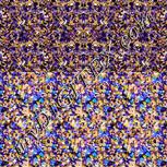 Colour:F