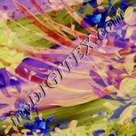 Colour:F