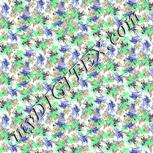 Colour:D
