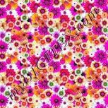 Colour:B