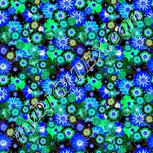 Colour:F