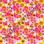 Colour:J