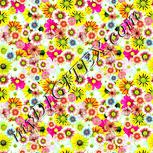 Colour:K