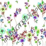 Colour:D