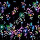 Colour:F