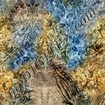 Colour:A
