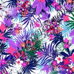 Colour:B