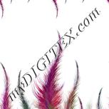 Colour:B