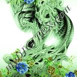Colour:K