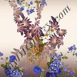 Colour:A