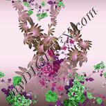 Colour:B