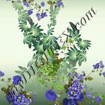 Colour:D