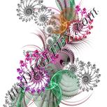 Colour:B