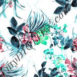 Colour:C