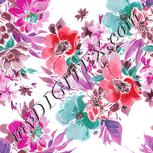 Colour:B