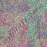 Colour:A