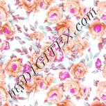 Colour:B