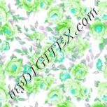 Colour:C