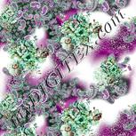 Colour:C