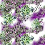 Colour:D