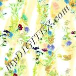 Colour:K
