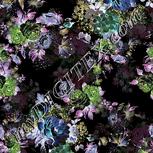 Colour:F
