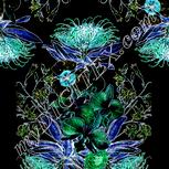 Colour:F