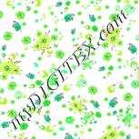Colour:C