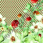 Colour:K