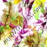 Colour:C