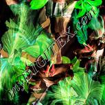 Colour:F