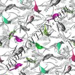 Colour:C