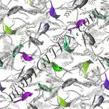 Colour:D