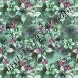 Colour:C