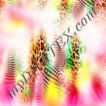 Colour:J
