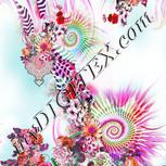 Colour:B