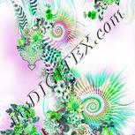 Colour:C