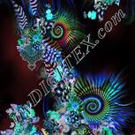 Colour:F