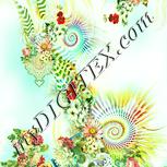 Colour:K