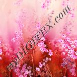 Colour:J