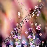 Colour:A