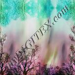 Colour:C