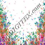 Colour:B