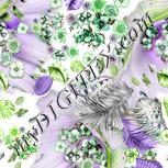 Colour:D