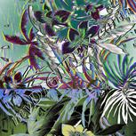 Colour:A