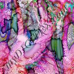 Colour:B