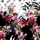 Colour:B