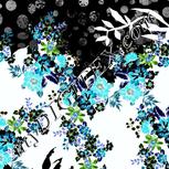 Colour:F