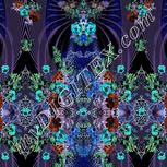 Colour:F