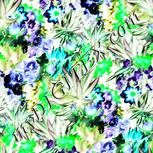 Colour:D